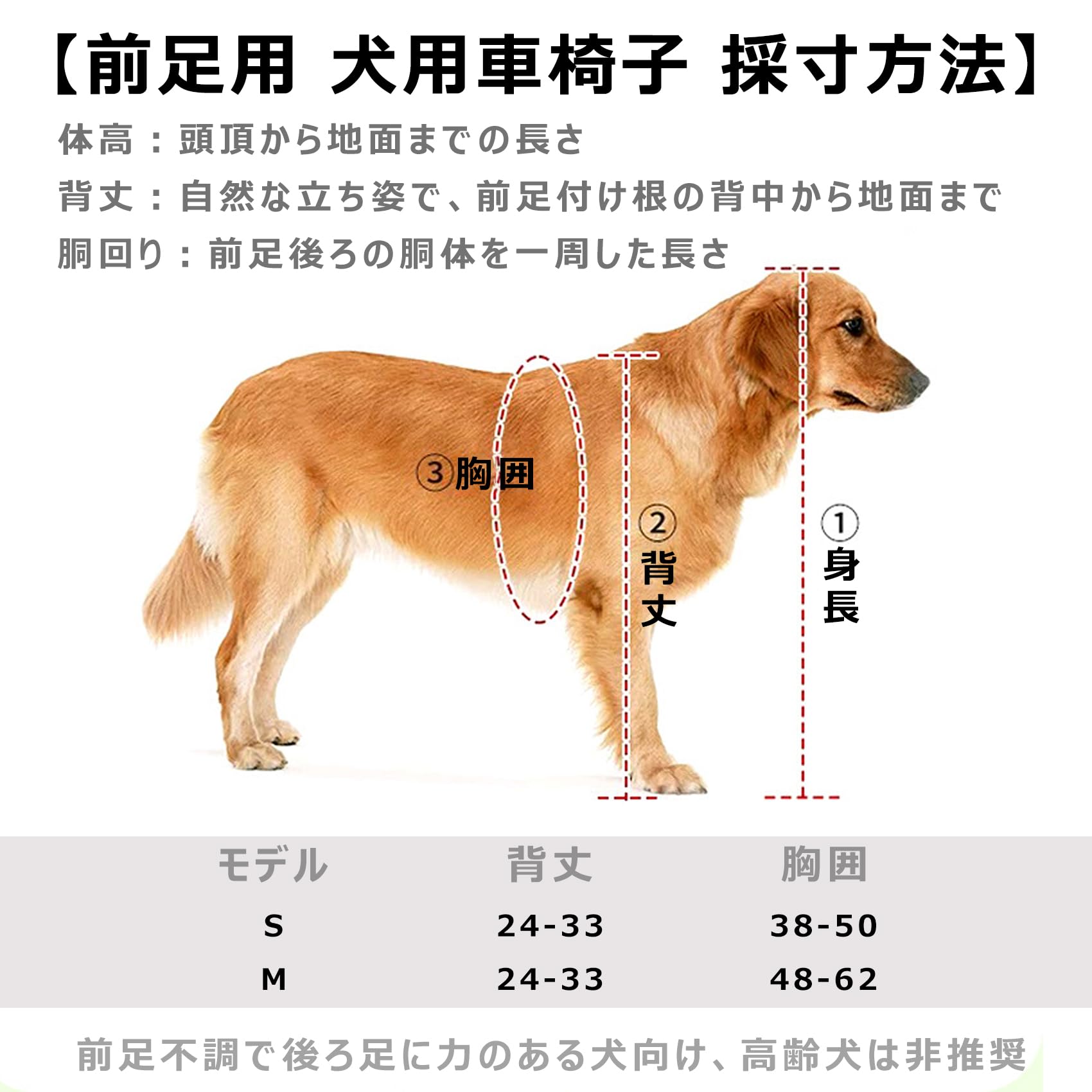 Amazon.co.jp: 犬 車椅子 前足用 歩行器 4 輪タイプ 高さ・横幅調整